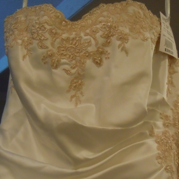 David’s Bridal wedding gown size 8 - Picture 4 of 7